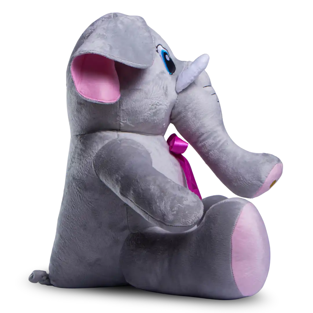 Elefante · foto 4