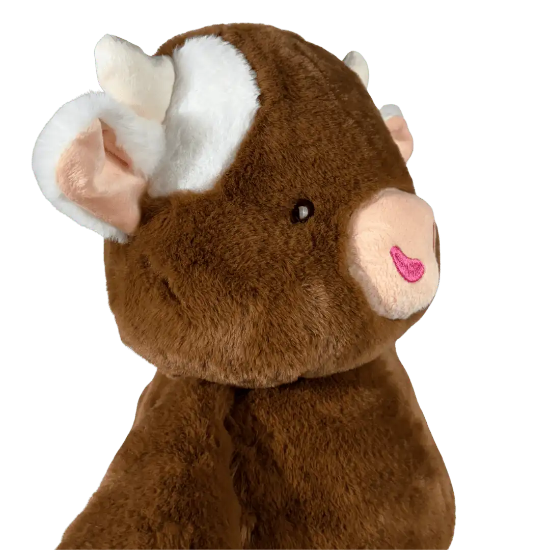 Vaca Lola · foto 6
